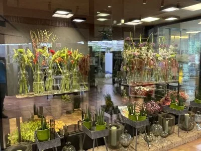 Blick durch die Glasfront eines gekühlten Blumenraums mit Schnittblumen in Vasen, davor Pflanzen und Vasen